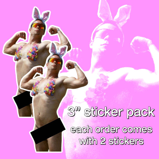 bunny the lifeguard sticker pack